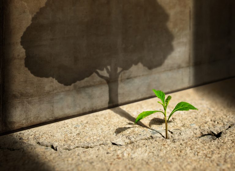 Start, Think Big, Recovery and Challenge in Life or Business Concept.Economic Crisis Symbol
