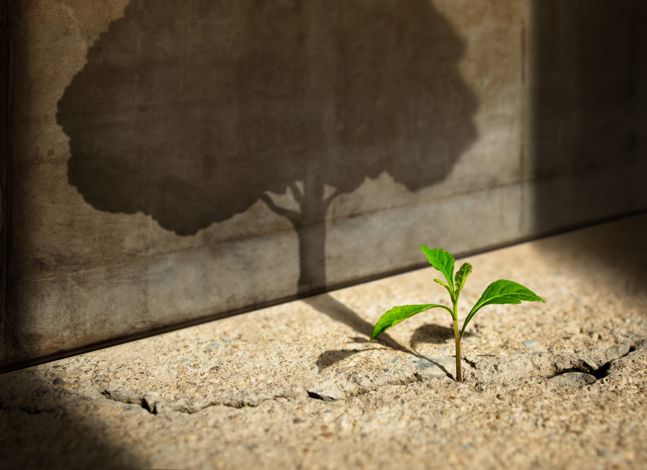 Start, Think Big, Recovery and Challenge in Life or Business Concept.Economic Crisis Symbol